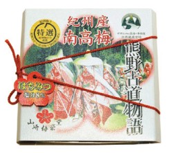 南高梅 熊野古道物語 (はちみつ)